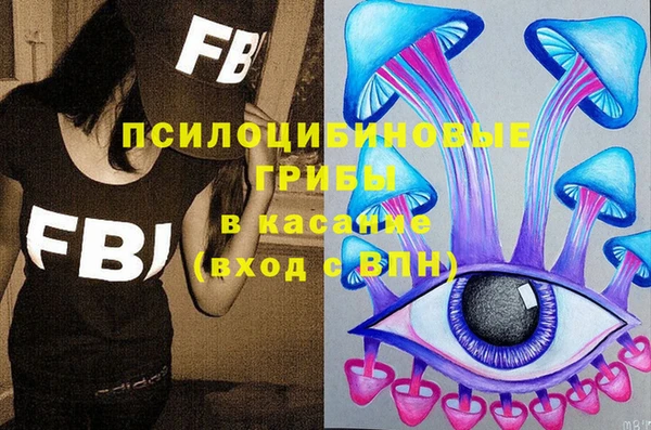 дживик Аркадак
