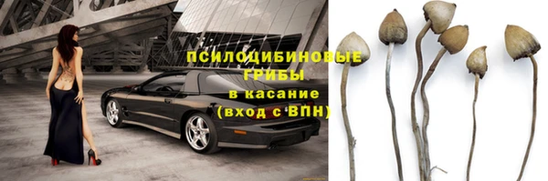 дживик Аркадак