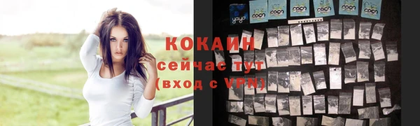 дживик Аркадак