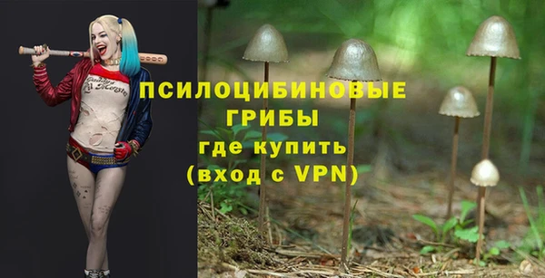 кокс Армянск