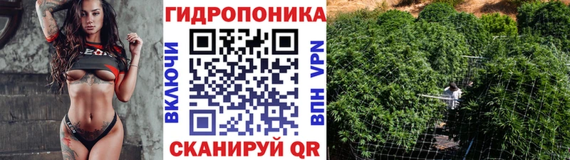 Бошки марихуана гибрид  Зубцов 